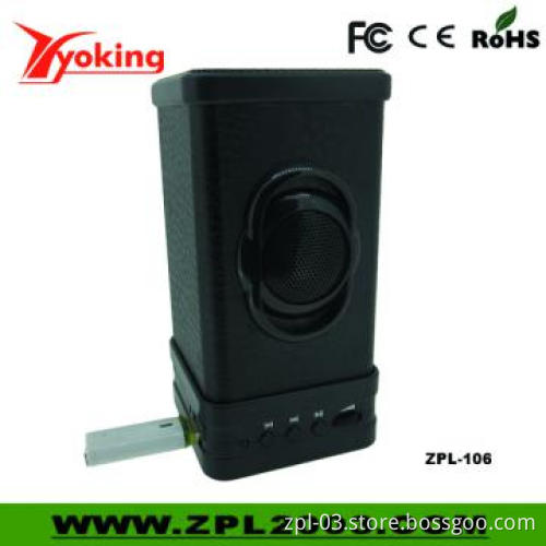 Hot Selling Portable Mini Speaker with USB input (ZPL-106)